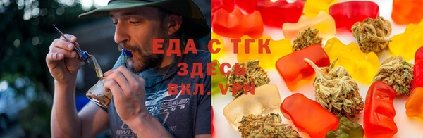 mdpv Богородицк