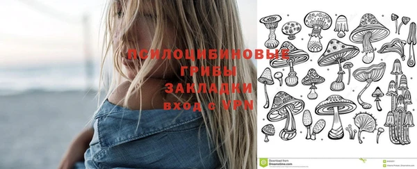 эйфоретик Богданович