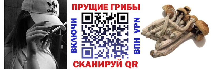 Галлюциногенные грибы ЛСД  МЕГА как войти  Карачаевск 