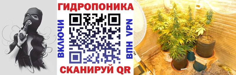 купить  сайты  Карачаевск  shop состав  Бошки марихуана THC 21% 